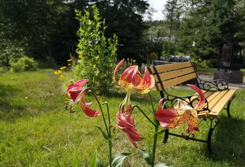 Bed and Breakfast Au Cachalot Caché Le Gîte Hôtel