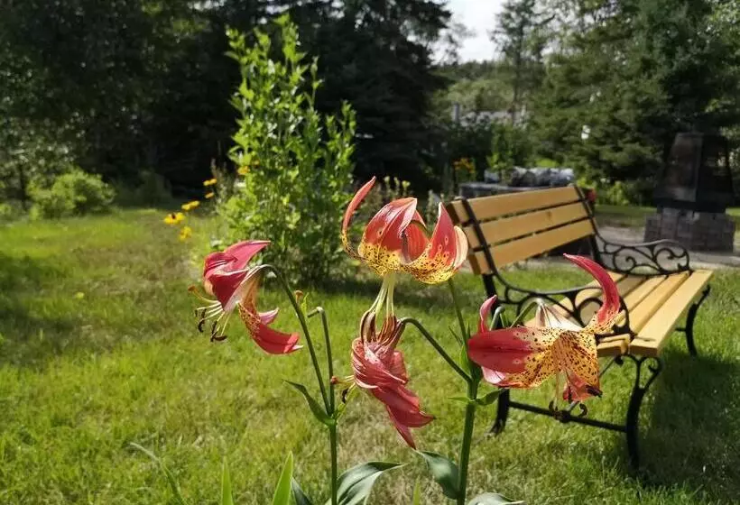 Aamiaismajoitus (B&B) Au Cachalot Caché Le Gîte Hôtel