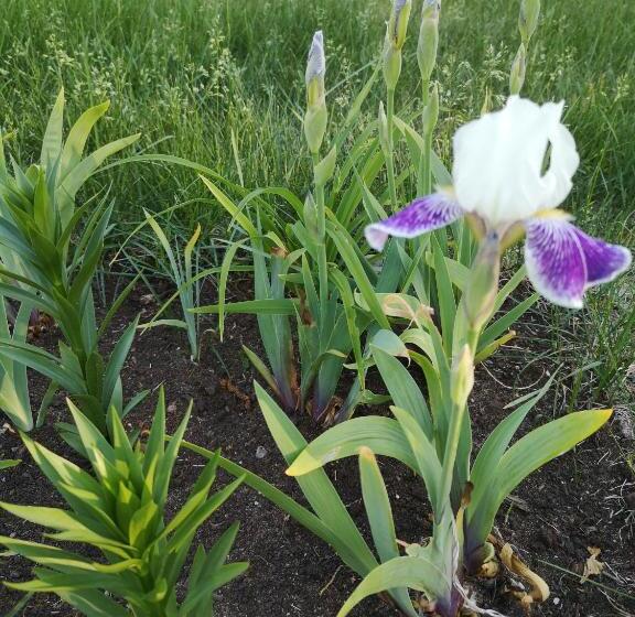 Bed and Breakfast Au Cachalot Caché Le Gîte Hôtel
