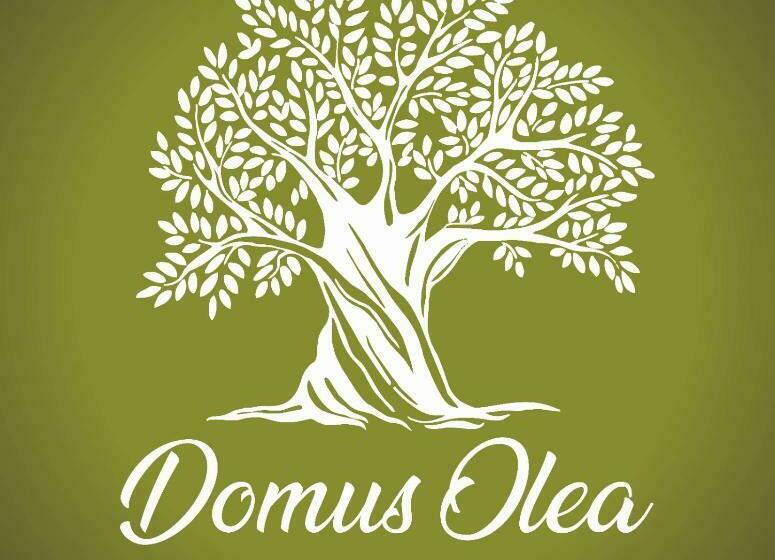 צימר Domus Olea