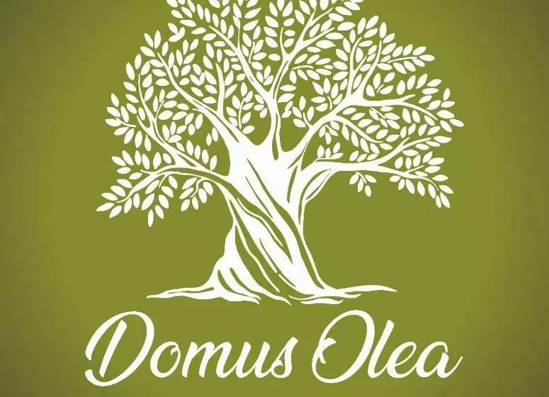 Aamiaismajoitus (B&B) Domus Olea