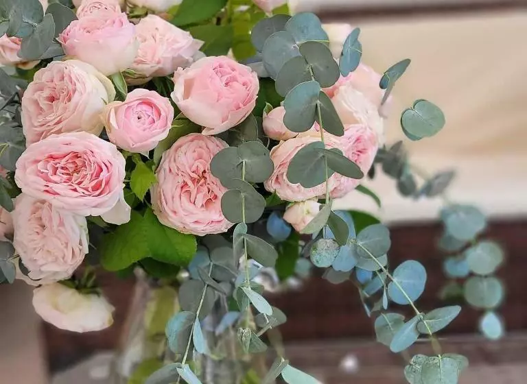 Aamiaismajoitus (B&B) Domus Olea