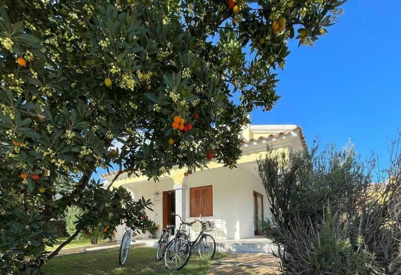 ベッドアンドブレックファースト L Aurora