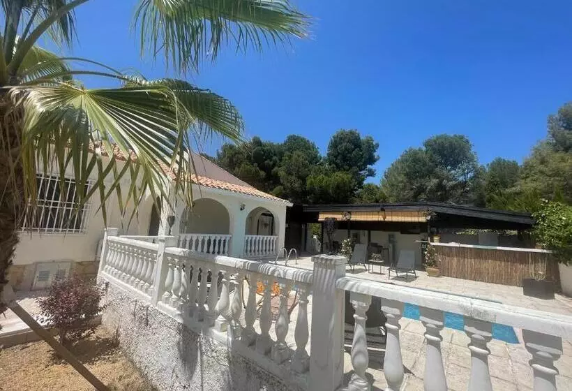 تختخواب و صبحانه Villa La Vida