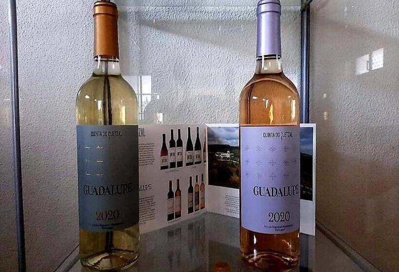 胶囊酒店 Hospedaria São João