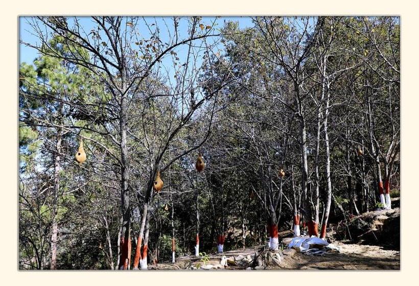 Hotel The Ranikhet Continental