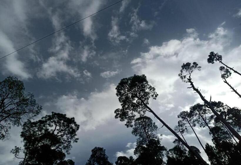 Hotel The Ranikhet Continental