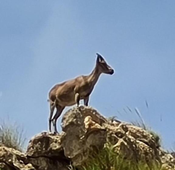 ペンション Casa Sol Y Luz Casa Rural