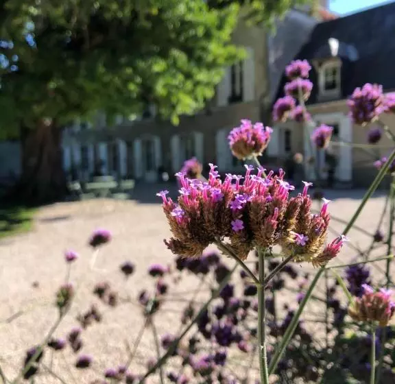 پانسیون Domaine Saint Hilaire
