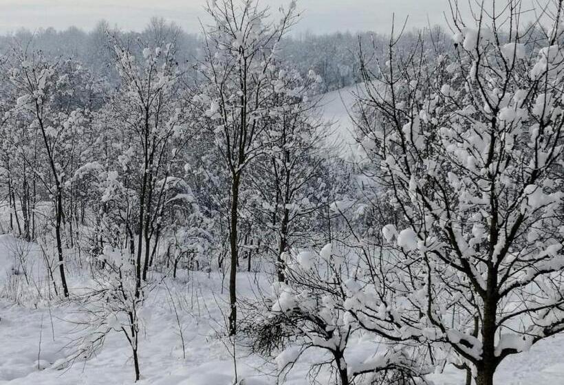 Resort Complex Transalpina