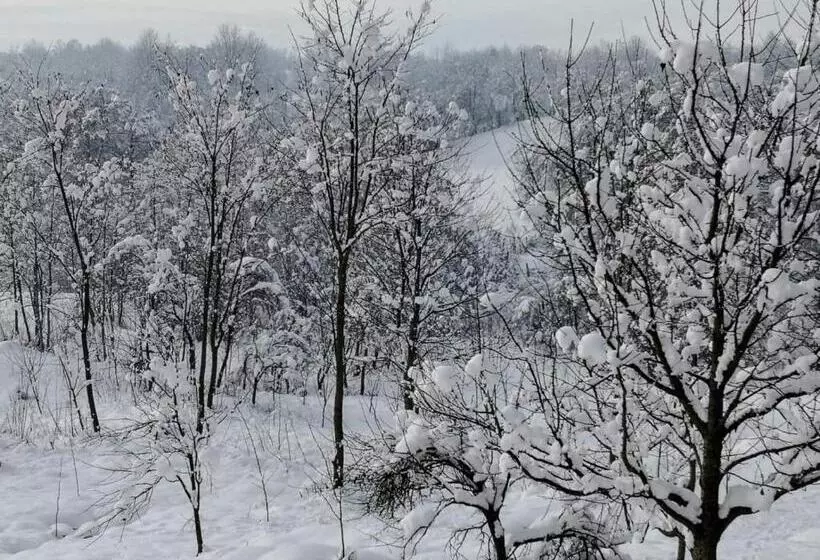 Lomakeskus Complex Transalpina