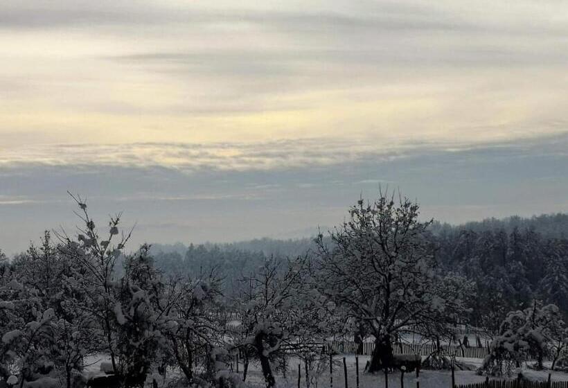 Resort Complex Transalpina