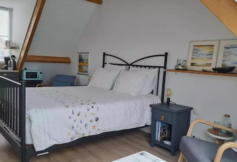 Studio B&b Zeeuws Licht