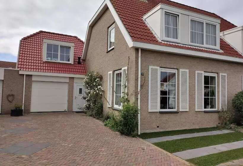 Studio B&b Zeeuws Licht