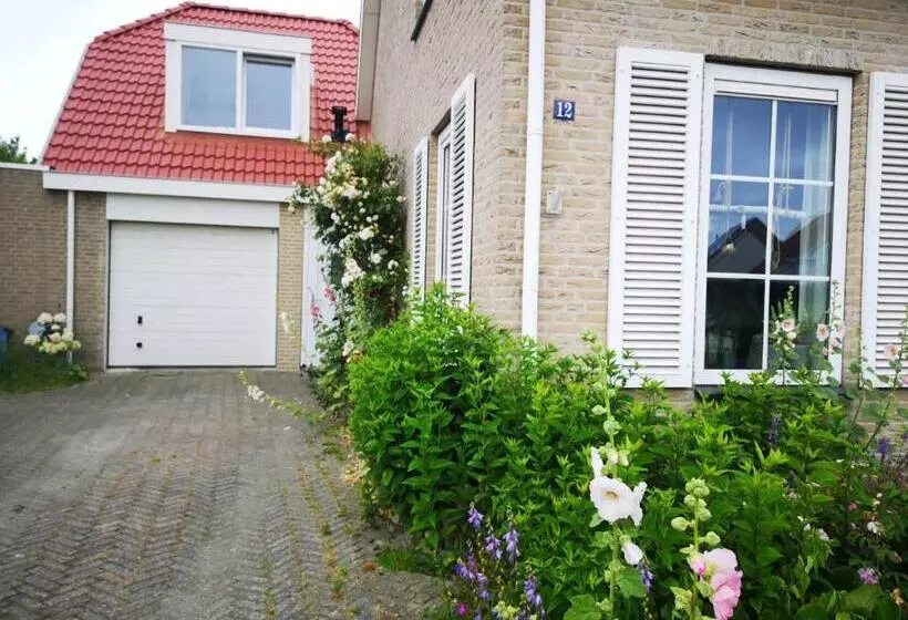 Studio B&b Zeeuws Licht