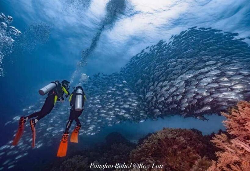 Ultra Mint Dive Resort