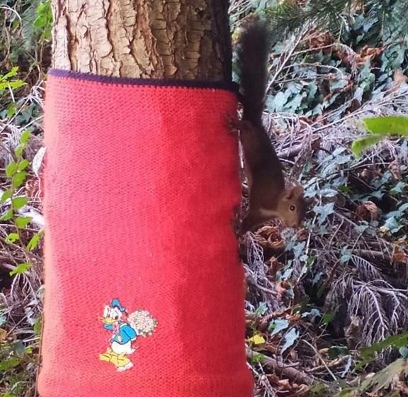 Bed and Breakfast Skyline