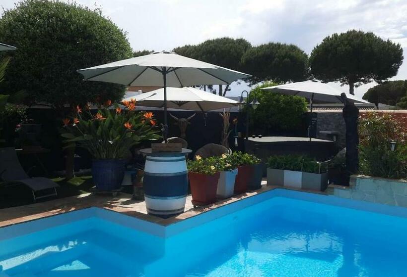 مبيت وإفطار Hébergement Chambre D Hôtes Grau Du Roi Mas Des Marines Piscine Adult Only