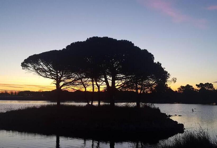 مبيت وإفطار Hébergement Chambre D Hôtes Grau Du Roi Mas Des Marines Piscine Adult Only