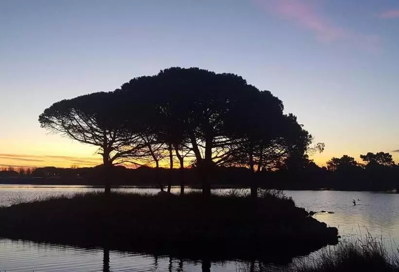 Aamiaismajoitus (B&B) Hébergement Chambre D Hôtes Grau Du Roi Mas Des Marines Piscine Adult Only