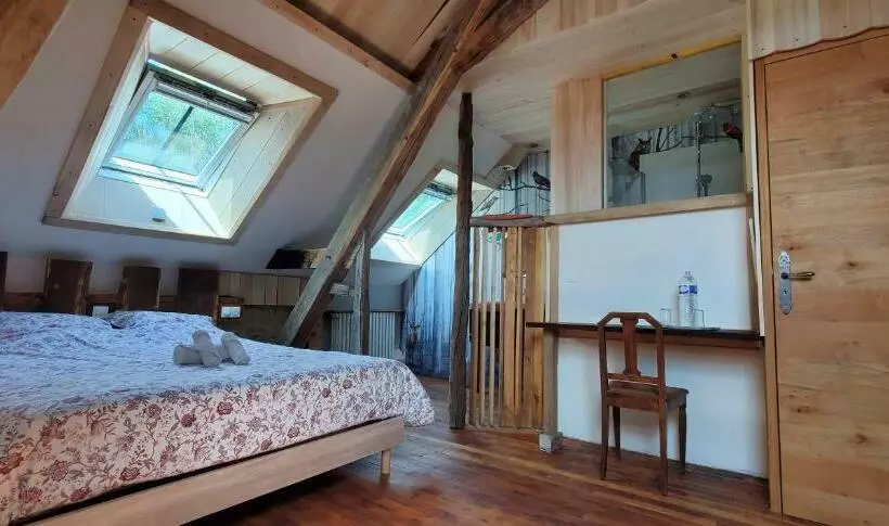 تختخواب و صبحانه Le Moulin Hodoux