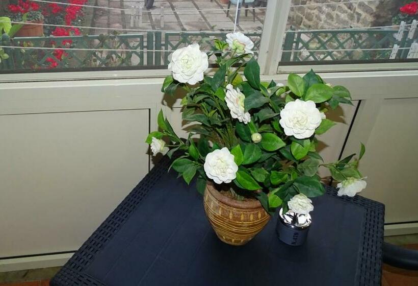 تختخواب و صبحانه Nonna Peppa Sorrento