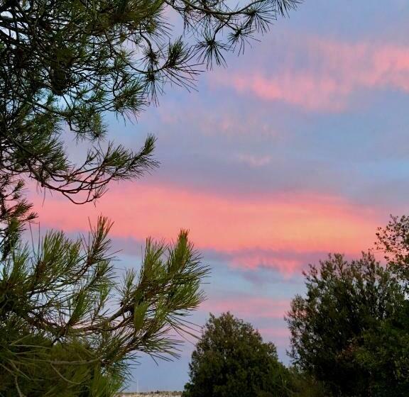 ベッドアンドブレックファースト Single Room In Private House El Rompido