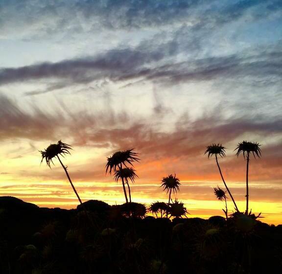 ベッドアンドブレックファースト Single Room In Private House El Rompido