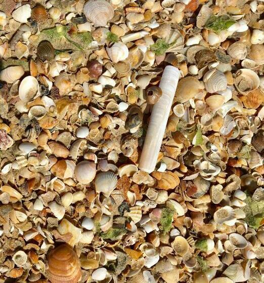 ベッドアンドブレックファースト Single Room In Private House El Rompido