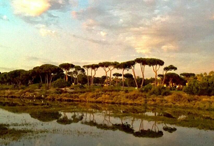 ベッドアンドブレックファースト Single Room In Private House El Rompido