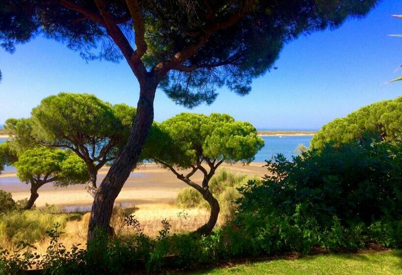 ベッドアンドブレックファースト Single Room In Private House El Rompido