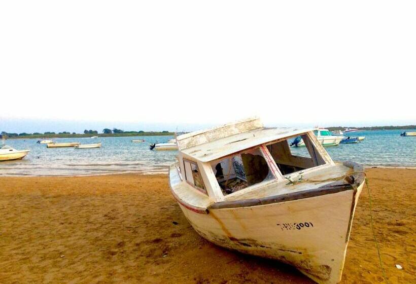 ベッドアンドブレックファースト Single Room In Private House El Rompido