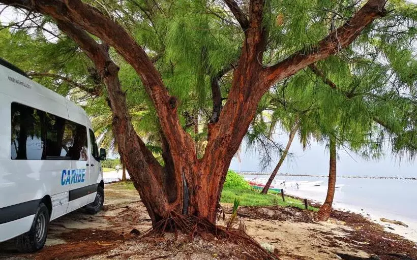 Aamiaismajoitus (B&B) Xcalak Caribe Lodge