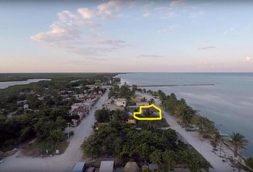 Bed and Breakfast Xcalak Caribe Lodge