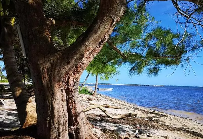 Aamiaismajoitus (B&B) Xcalak Caribe Lodge