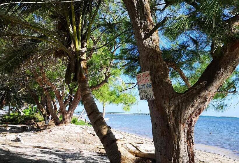 Bed and Breakfast Xcalak Caribe Lodge