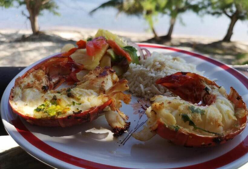 Bed and Breakfast Xcalak Caribe Lodge