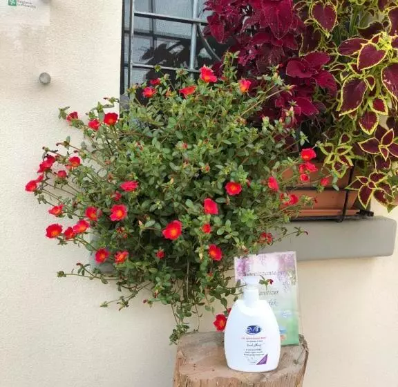 Hotelli Agriturismo Il Glicine Bianco