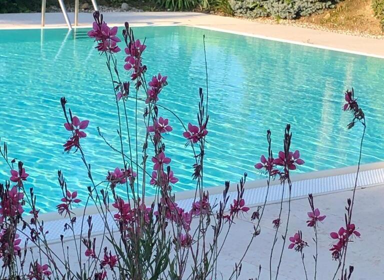 בית מלון כפרי Agriturismo Il Glicine Bianco