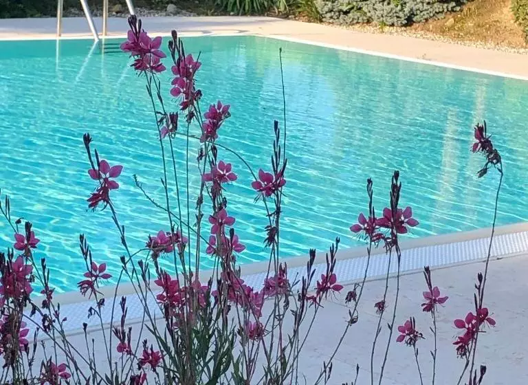 Hotelli Agriturismo Il Glicine Bianco