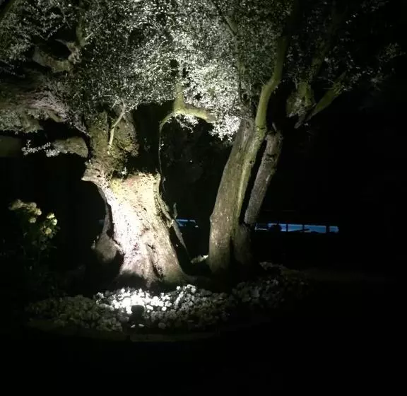 Hotelli Agriturismo Il Glicine Bianco