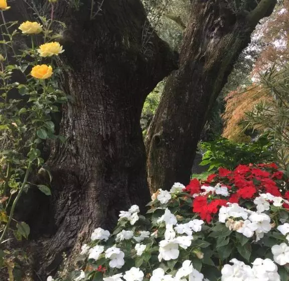 Hotelli Agriturismo Il Glicine Bianco