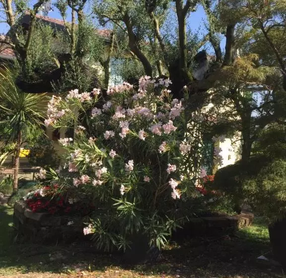Hotelli Agriturismo Il Glicine Bianco