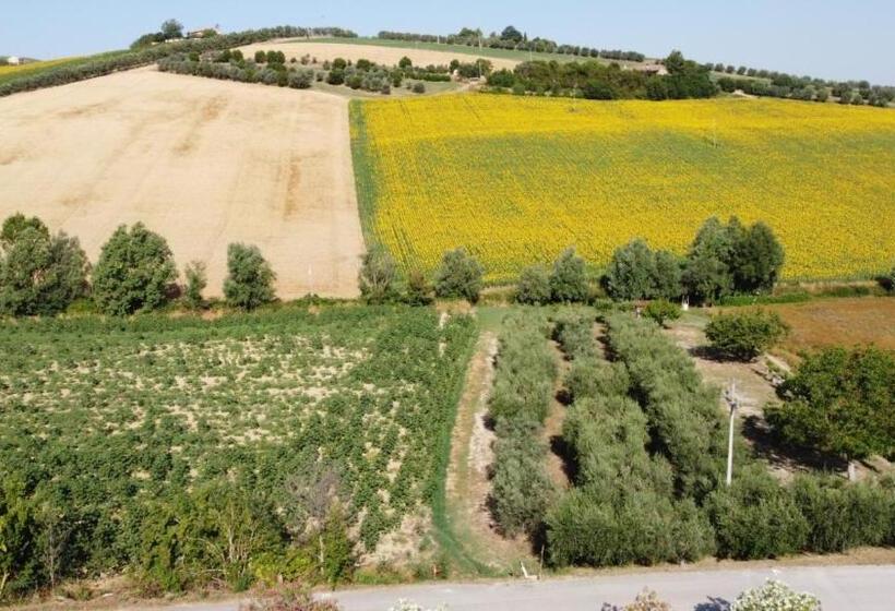 فندق B&b La Tenuta Del Conte