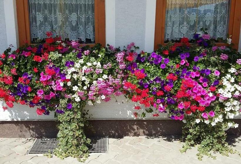 فندق Pension Edlinger