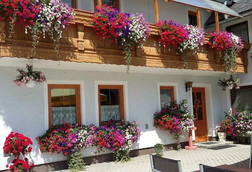 فندق Pension Edlinger