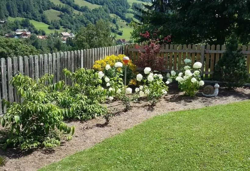هتل Pension Edlinger