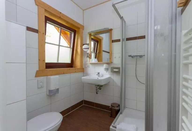 Hotelli & Restaurant Wilder Eber