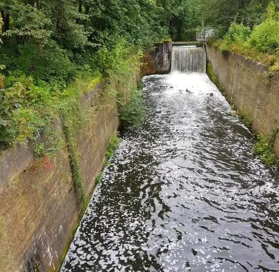 Hotelli & Restaurant Wilder Eber