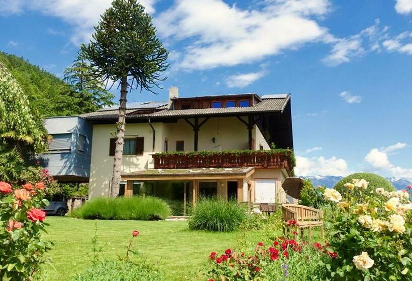 Отель Tirolerhof Tisens